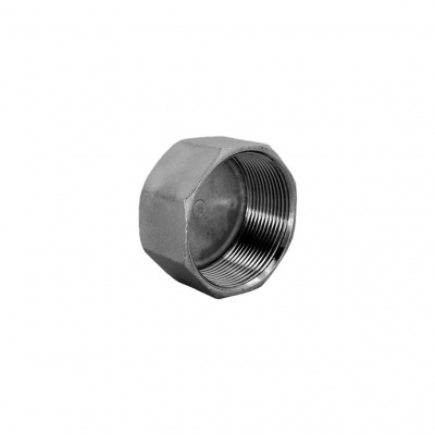 Заглушка NewKey В/Р 6-ти гранная нержавеющая, AISI304 DN20 (3/4), (CF8), PN16