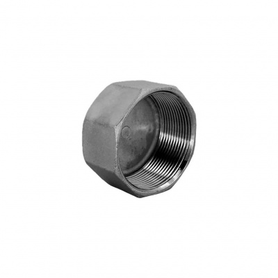 Заглушка NewKey В/Р 6-ти гранная нержавеющая, AISI304 DN25 (1), (CF8), PN16