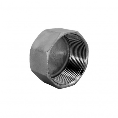 Заглушка NewKey В/Р 6-ти гранная нержавеющая, AISI304 DN40 (1 1/2), (CF8), PN16