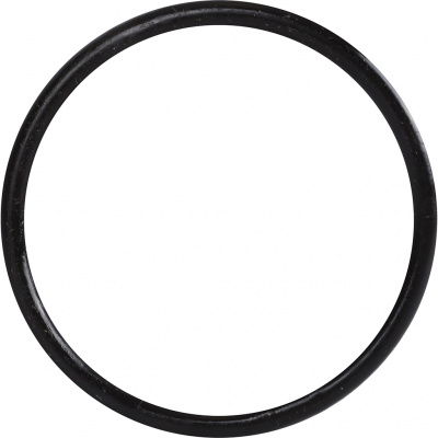 Уплотнительное кольцо ROMMER из EPDM, 54